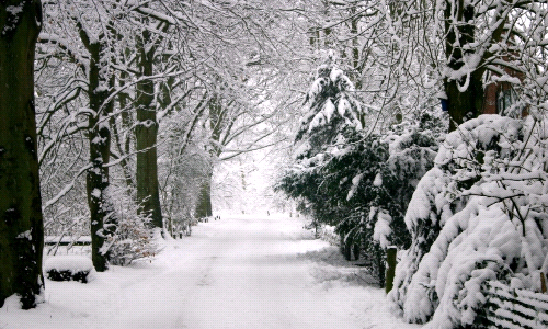 Winterizing Checklist